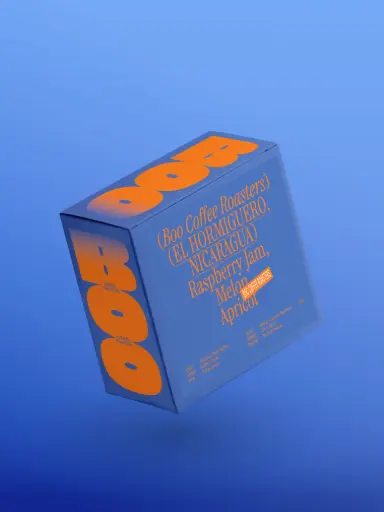 Nicaragua - El Hormiguero